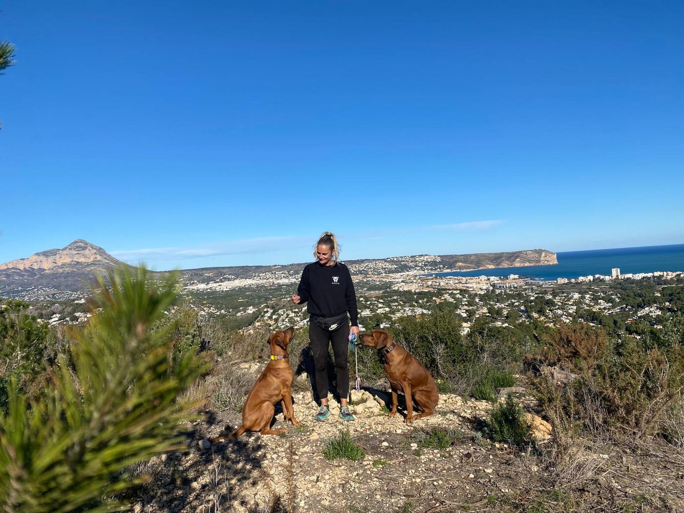Angelique met twee honden los op een heuvel boven de baai van Jávea