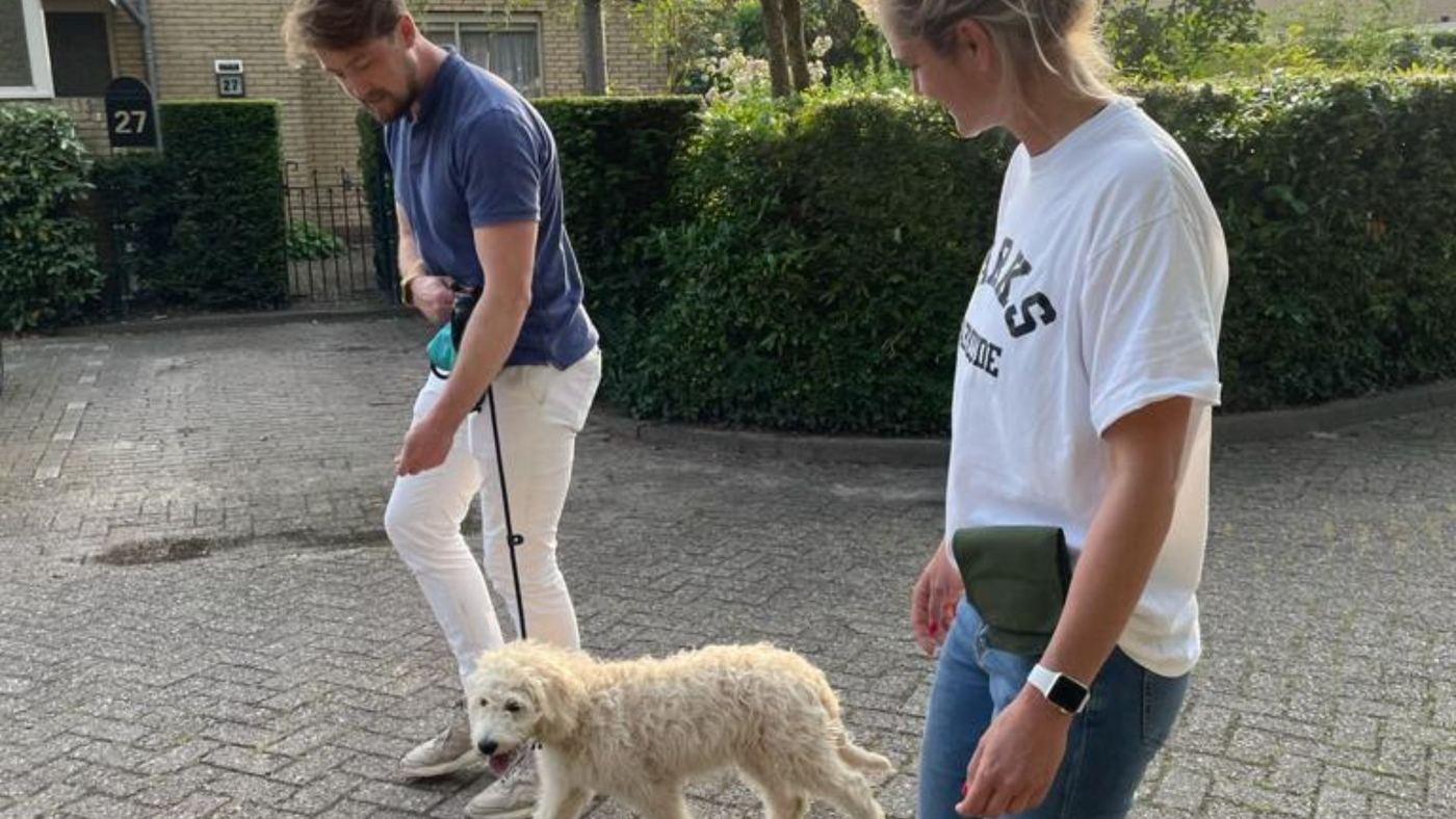 Training aan de lijn met een eigenaar op straat in Jávea
