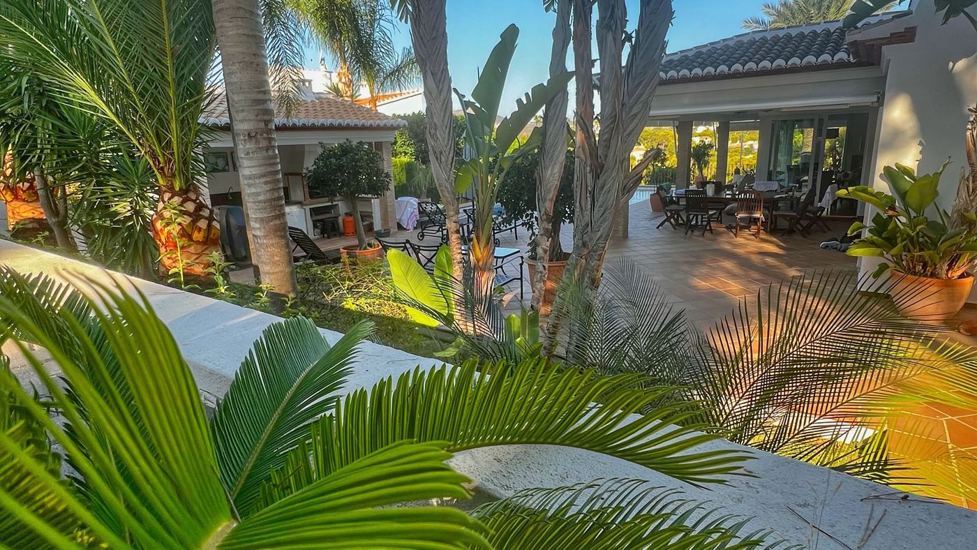 De tuin bij het huis in Jávea waar Angelique met honden werkt